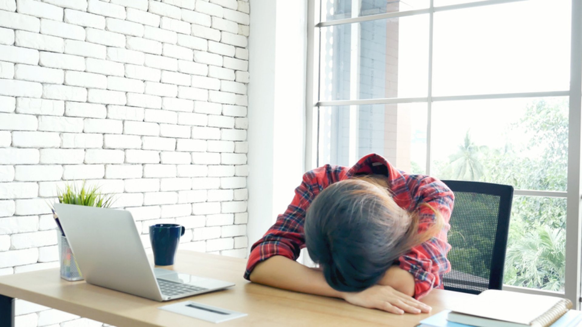 1 napos wellness Pest megye